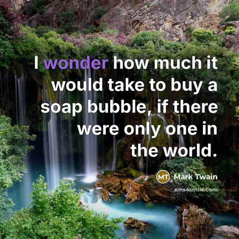 “I wonder how much it would take to buy a…” quote by Mark Twain