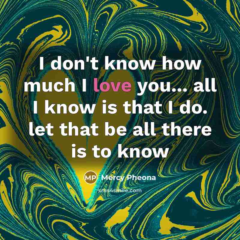 “I don't know how much I love you... all I…” quote by Mercy Pheona