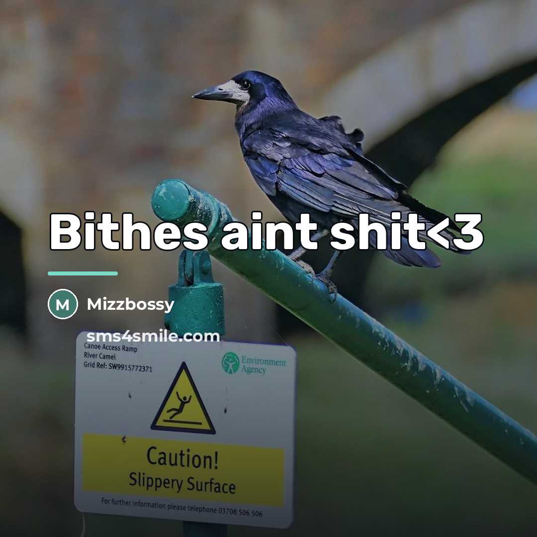 “Bithes aint shit…” quote by Mizzbossy
