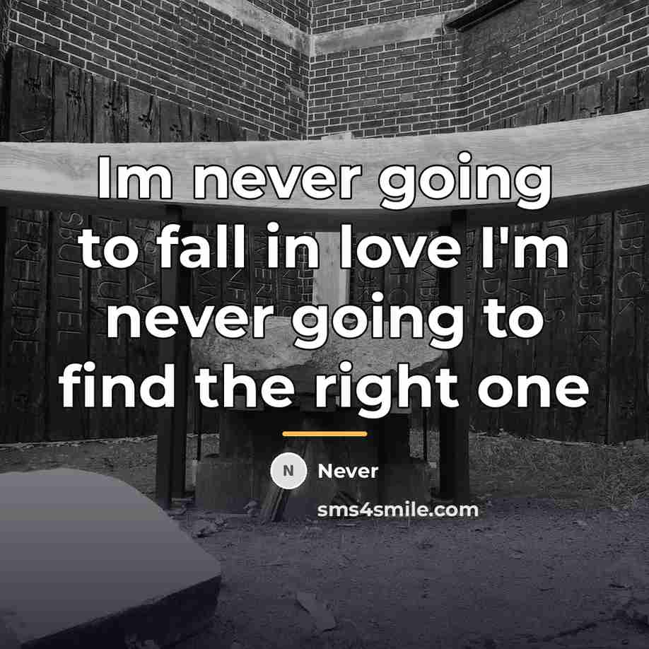 “Im never going to fall in love I'm never going…” quote by Anonymous