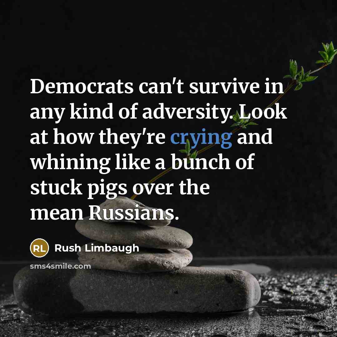 “Democrats can't survive in any kind of adversity. Look at…” quote by Rush Limbaugh