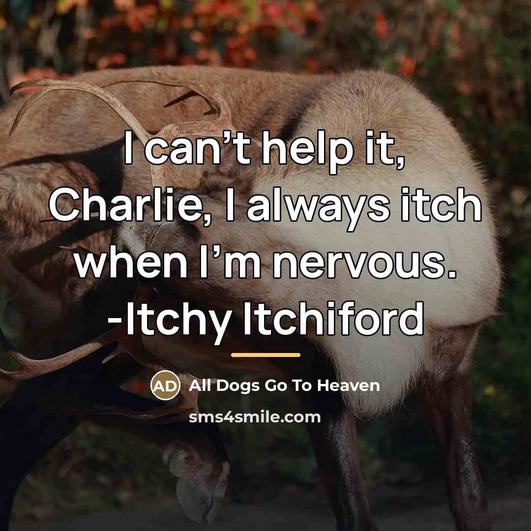 “I can't help it, Charlie, I always itch when I'm…” quote by All Dogs Go To Heaven