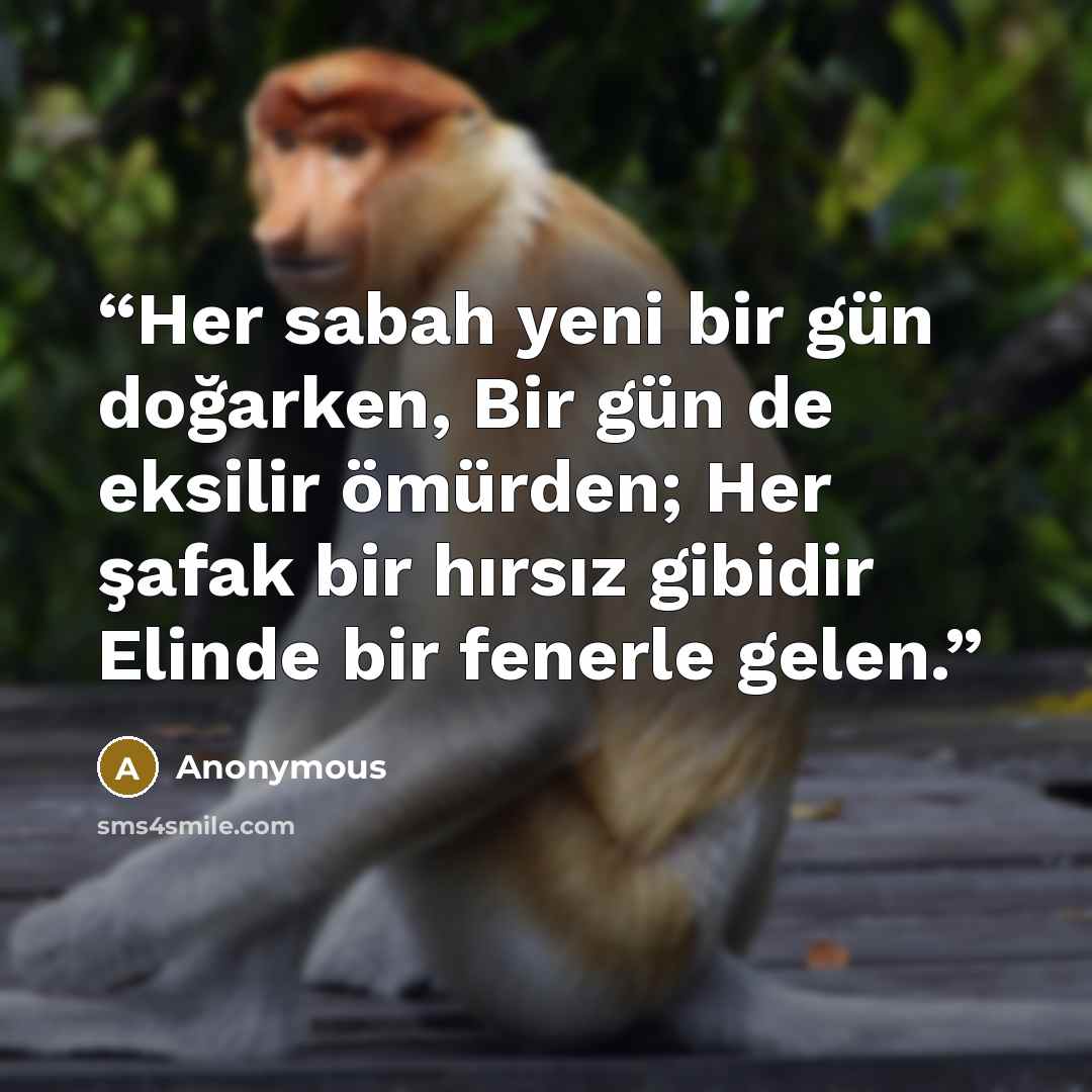“Her sabah yeni bir gün doğarken, Bir gün de eksilir ömürden; Her şafak bir hırsız gibidir Elinde bir fenerle gelen.” quote by Anonymous