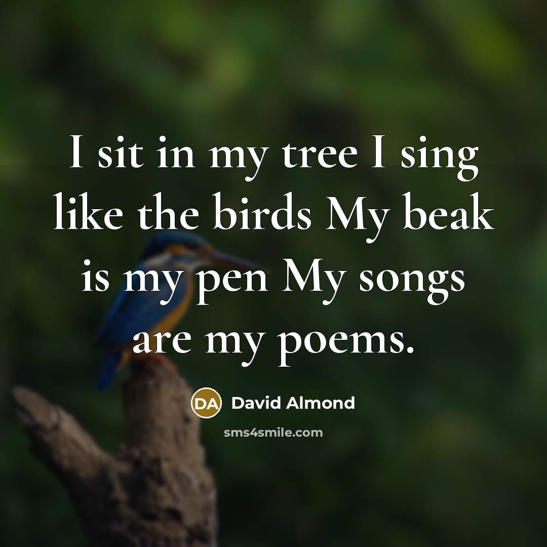 “I sit in my tree I sing like the birds…” quote by David Almond
