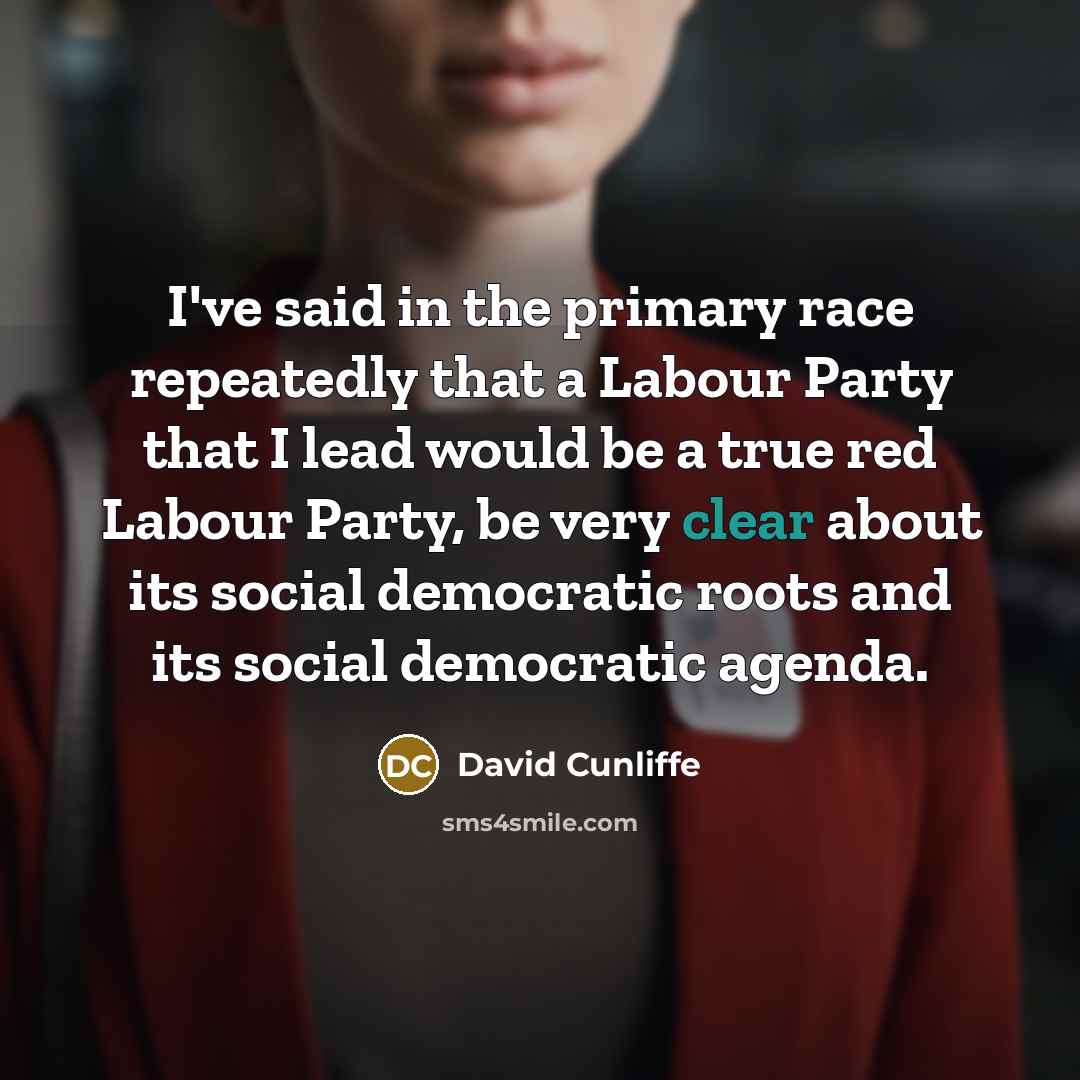 “I've said in the primary race repeatedly that a Labour…” quote by David Cunliffe