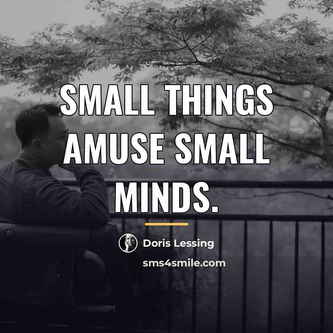 “Small things amuse small minds.…” quote by Doris Lessing