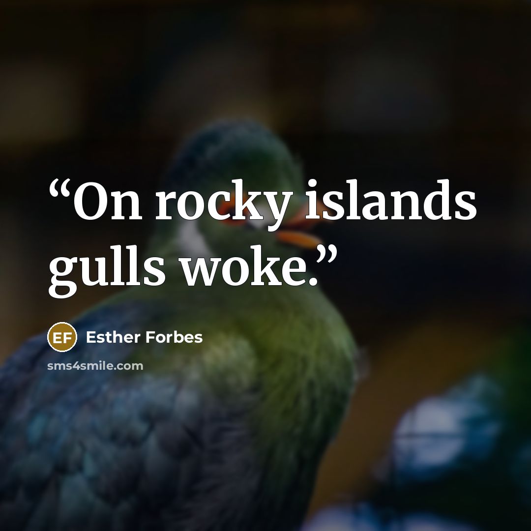 “On rocky islands gulls woke.” quote by Esther Forbes