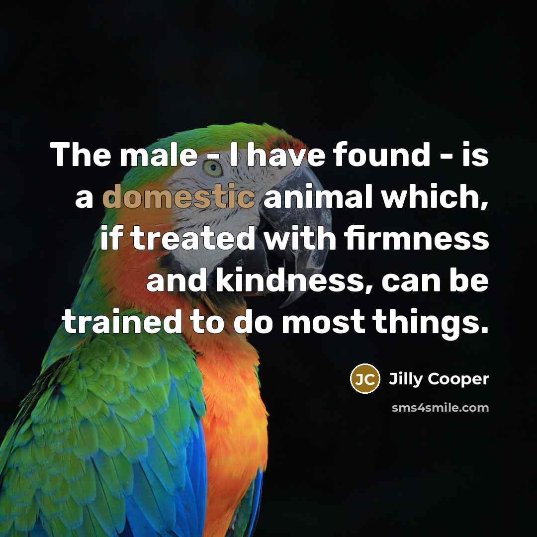 “The male - I have found - is a domestic…” quote by Jilly Cooper