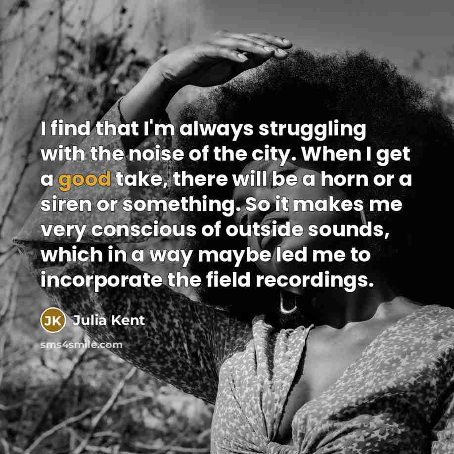 “I find that I'm always struggling with the noise of…” quote by Julia Kent