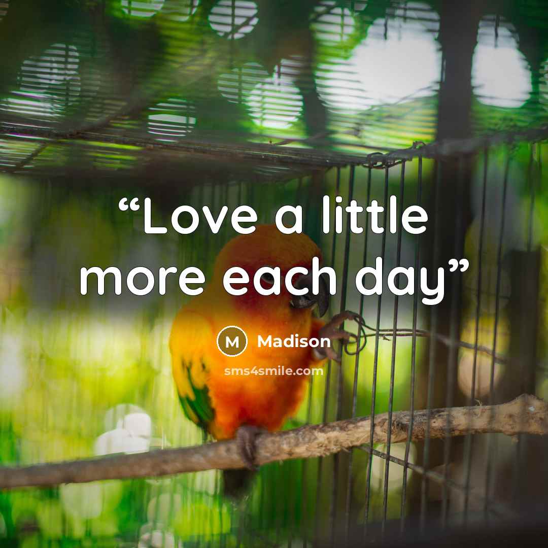 “Love a little more each day” quote by Madison