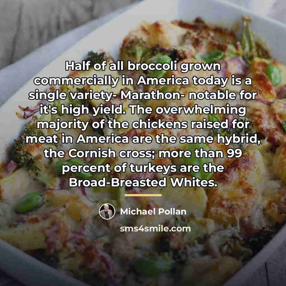 “Half of all broccoli grown commercially in America today is…” quote by Michael Pollan