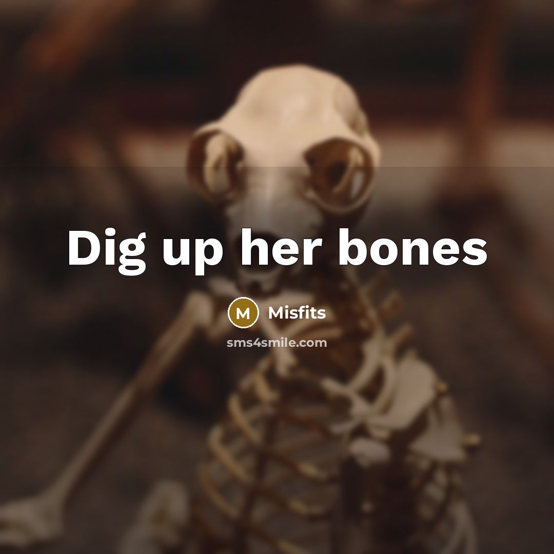“Dig up her bones” quote by Misfits