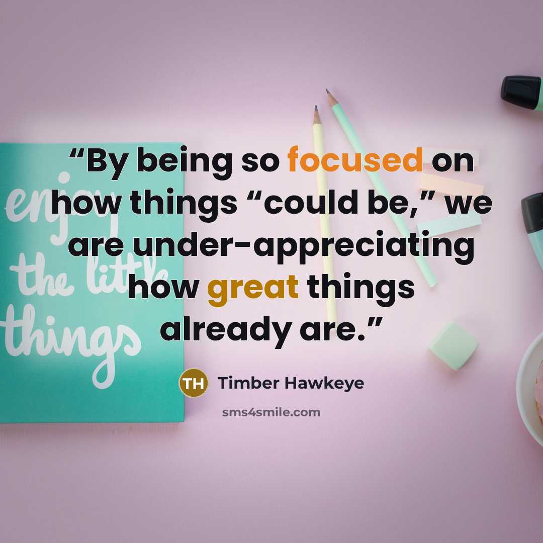 “By being so focused on how things “could be,” we are under-appreciating how great things already are.” quote by Timber Hawkeye