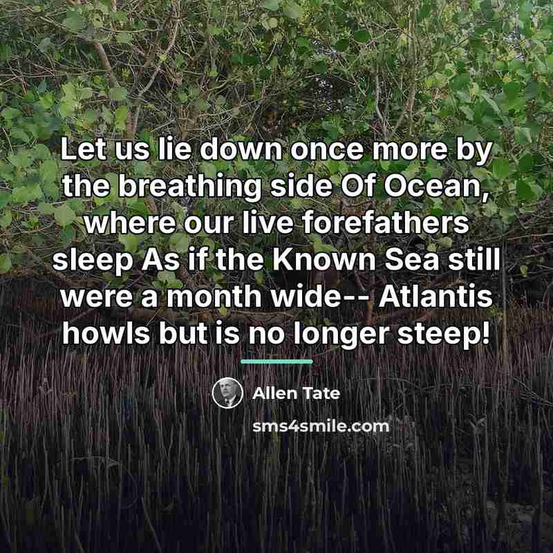 “Let us lie down once more by the breathing side…” quote by Allen Tate