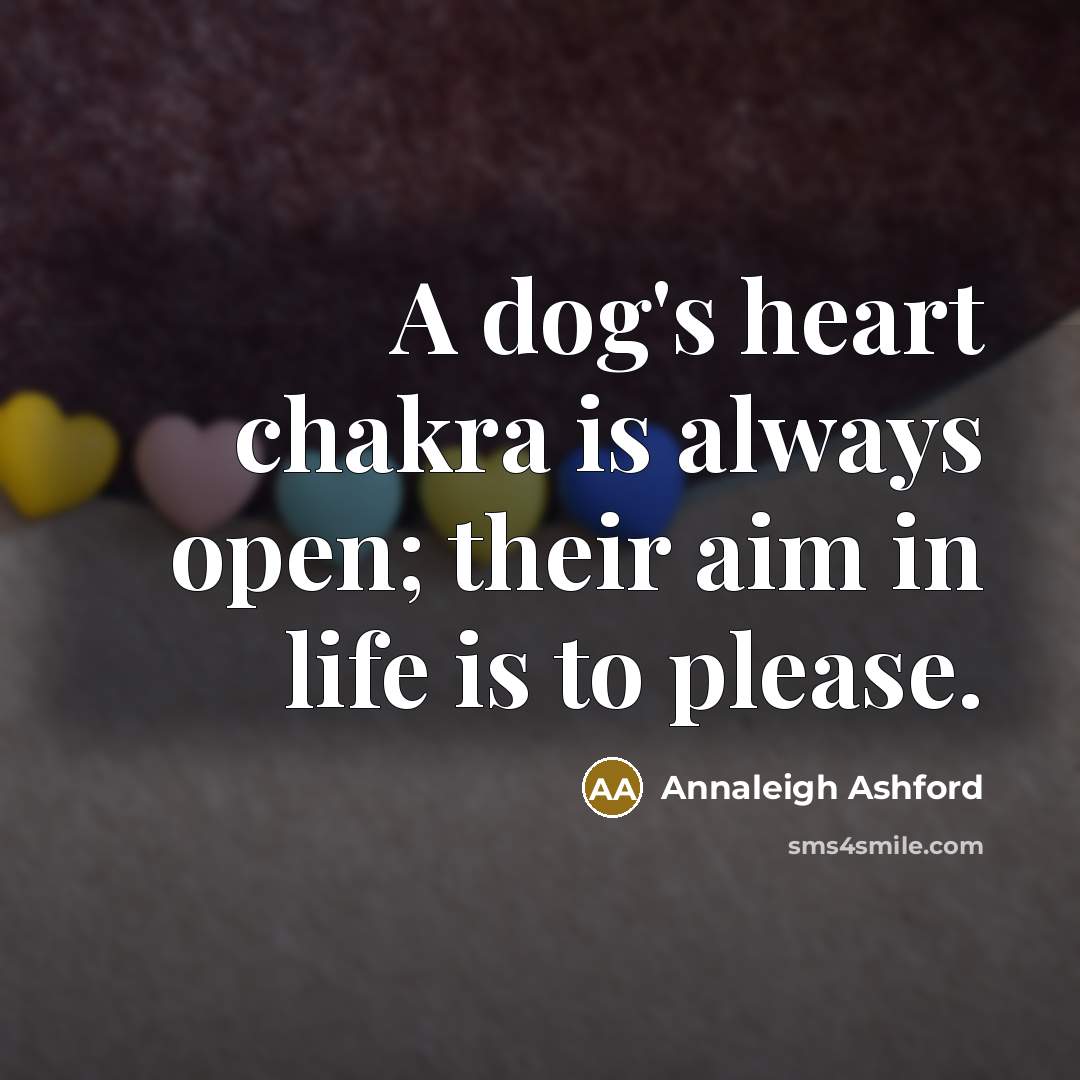 “A dog's heart chakra is always open; their aim in…” quote by Annaleigh Ashford