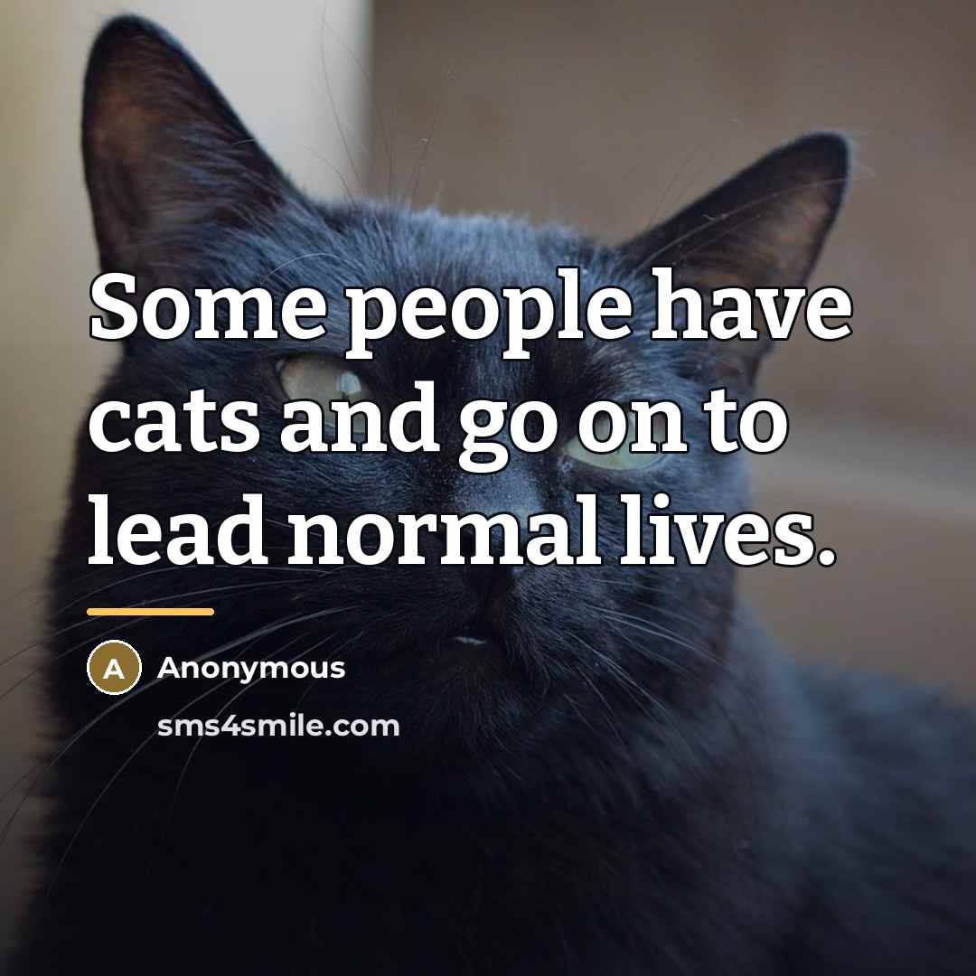 “Some people have cats and go on to lead normal…” quote by Anonymous