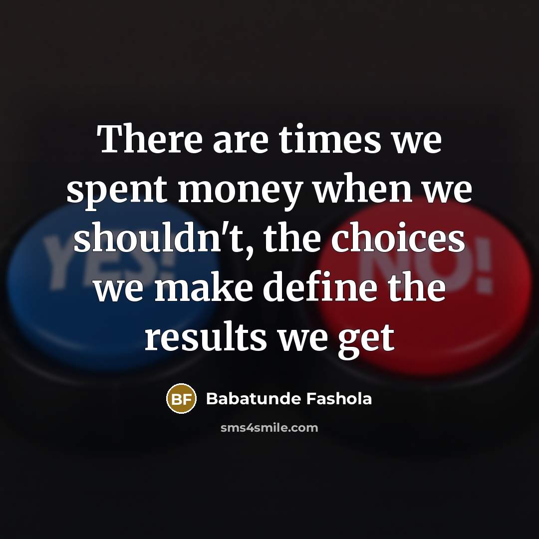 “There are times we spent money when we shouldn't, the…” quote by Babatunde Fashola