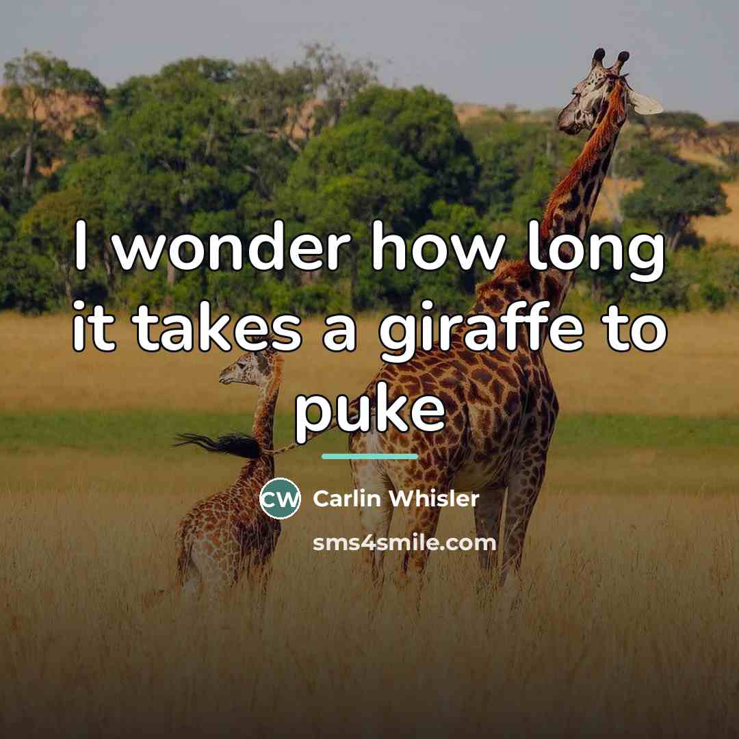 “I wonder how long it takes a giraffe to puke…” quote by Carlin Whisler