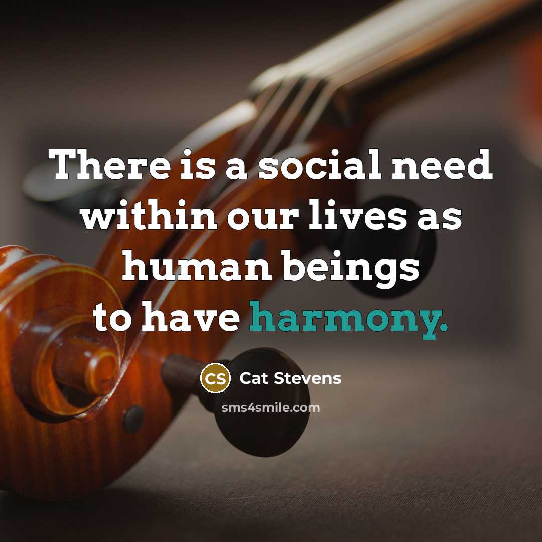 “There is a social need within our lives as human…” quote by Cat Stevens