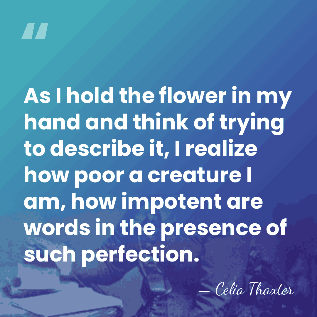 As I hold the flower in my hand and think of trying&hellip; - Celia Thaxter