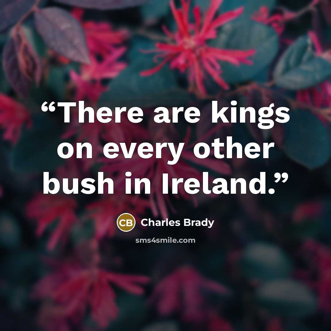 “There are kings on every other bush in Ireland.” quote by Charles Brady