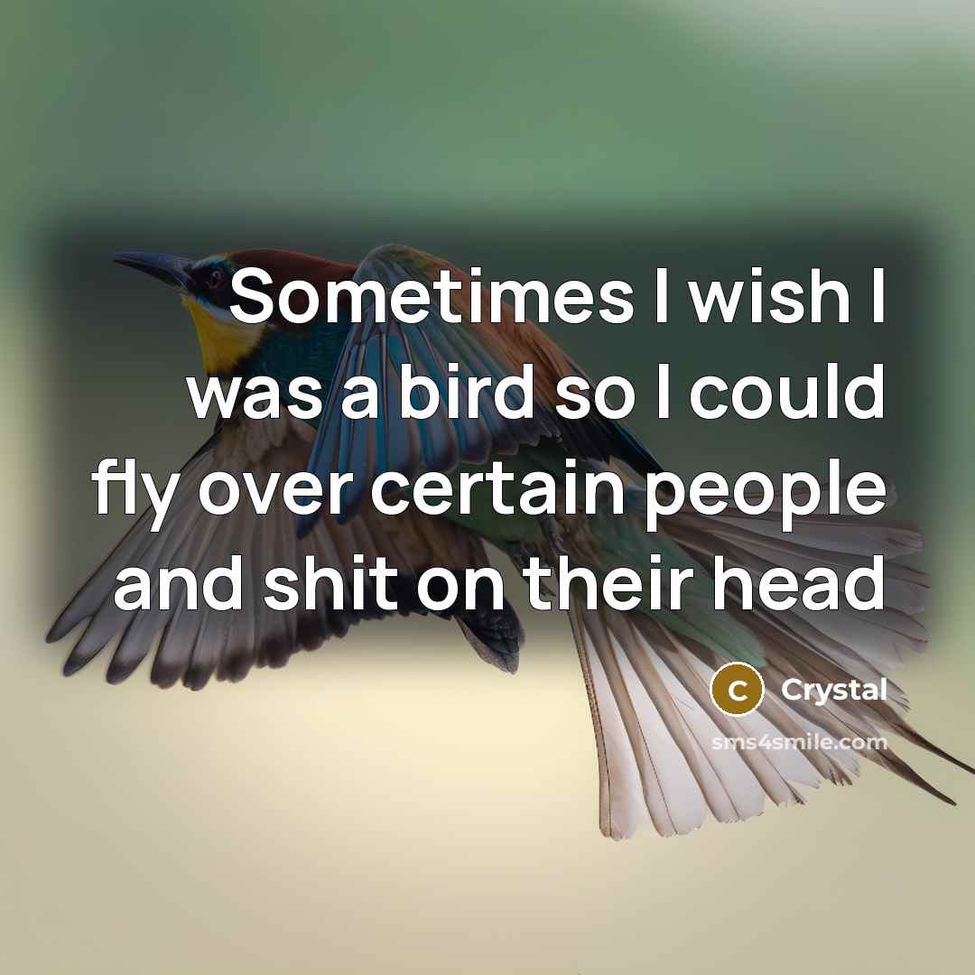 “Sometimes I wish I was a bird so I could…” quote by Crystal
