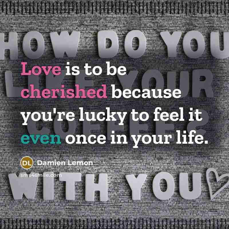 “Love is to be cherished because you're lucky to feel it even once in your life.” quote by Damien Lemon