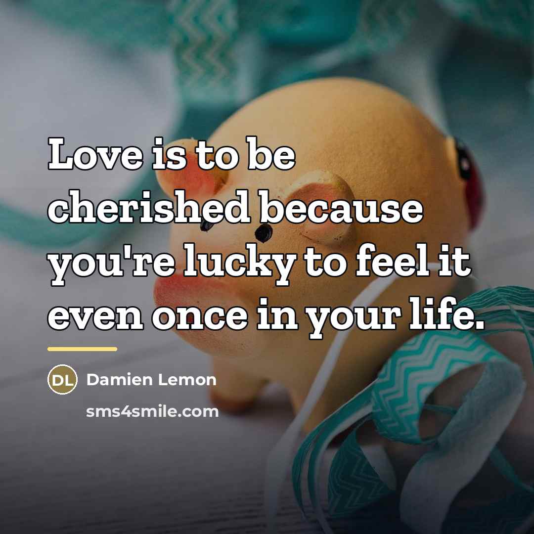 “Love is to be cherished because you're lucky to feel…” quote by Damien Lemon