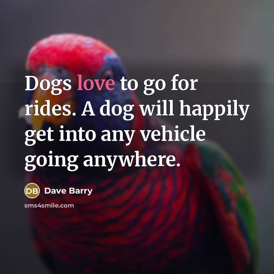 “Dogs love to go for rides. A dog will happily get into any vehicle going anywhere.” quote by Dave Barry