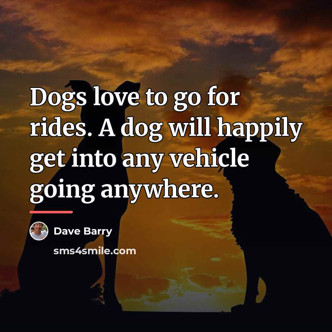 “Dogs love to go for rides. A dog will happily…” quote by Dave Barry