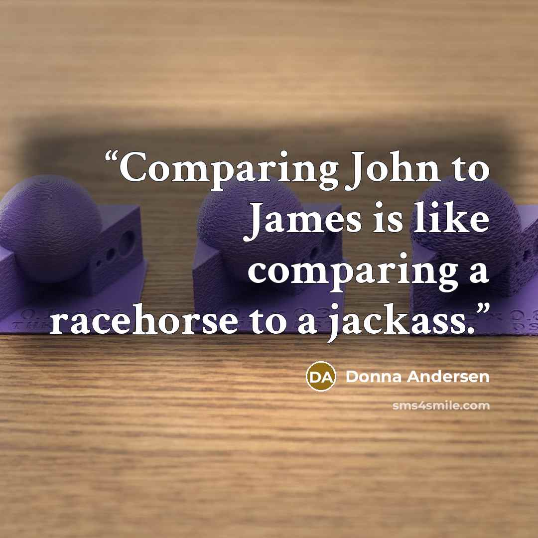 “Comparing John to James is like comparing a racehorse to a jackass.” quote by Donna Andersen