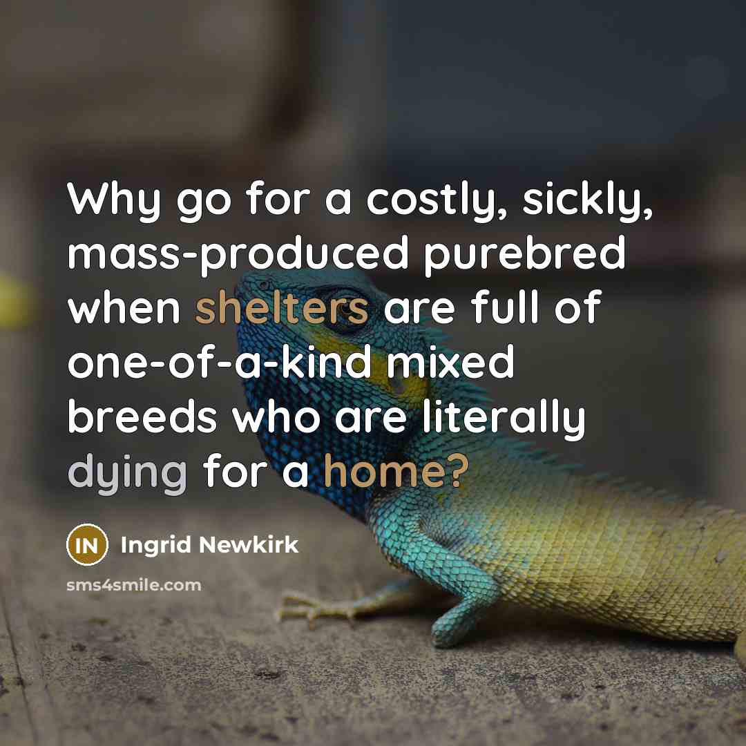 “Why go for a costly, sickly, mass-produced purebred when shelters are full of one-of-a-kind mixed breeds who are literally dying for a home?” quote by Ingrid Newkirk