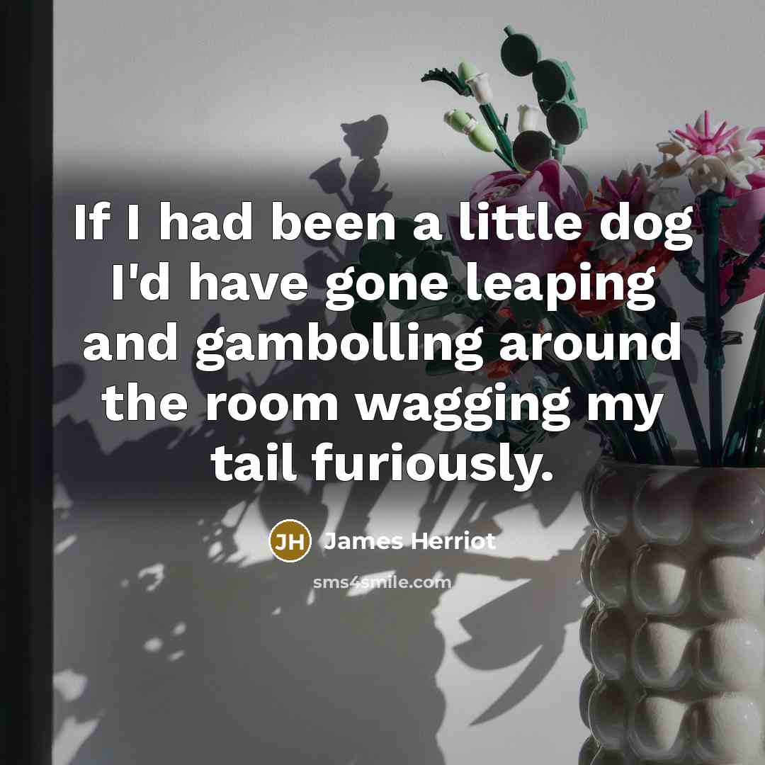 “If I had been a little dog I'd have gone…” quote by James Herriot