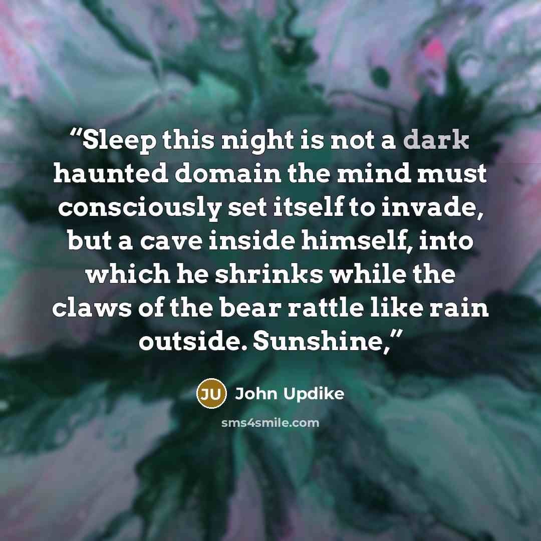 “Sleep this night is not a dark haunted domain the mind must consciously set itself to invade, but a cave inside himself, into which he shrinks while the claws of the bear rattle like rain outside. Sunshine,” quote by John Updike
