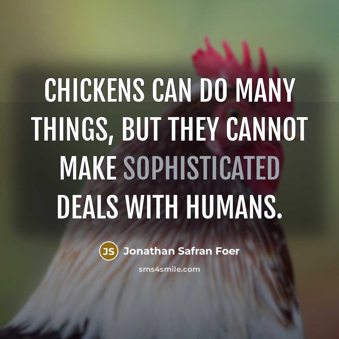 “Chickens can do many things, but they cannot make sophisticated…” quote by Jonathan Safran Foer