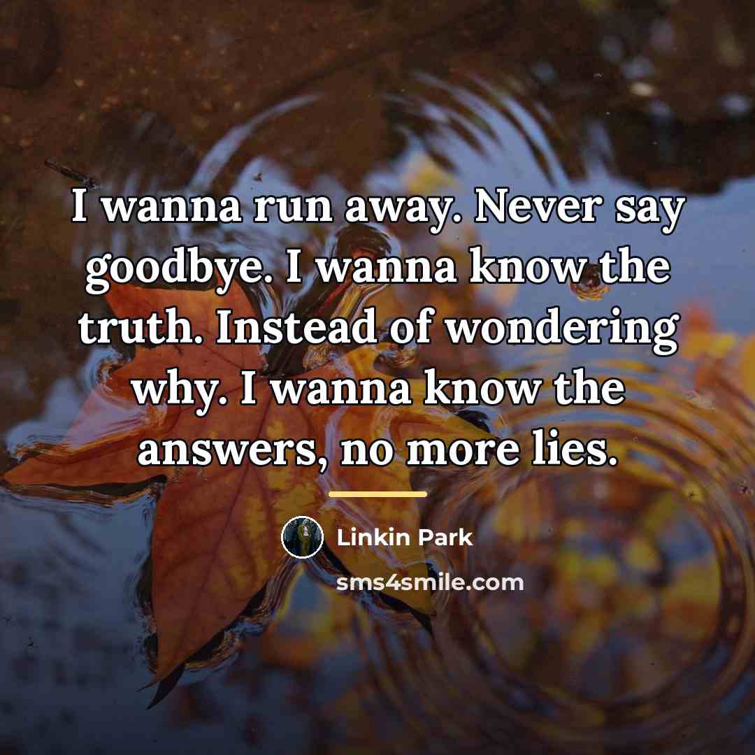 “I wanna run away. Never say goodbye. I wanna know…” quote by Linkin Park