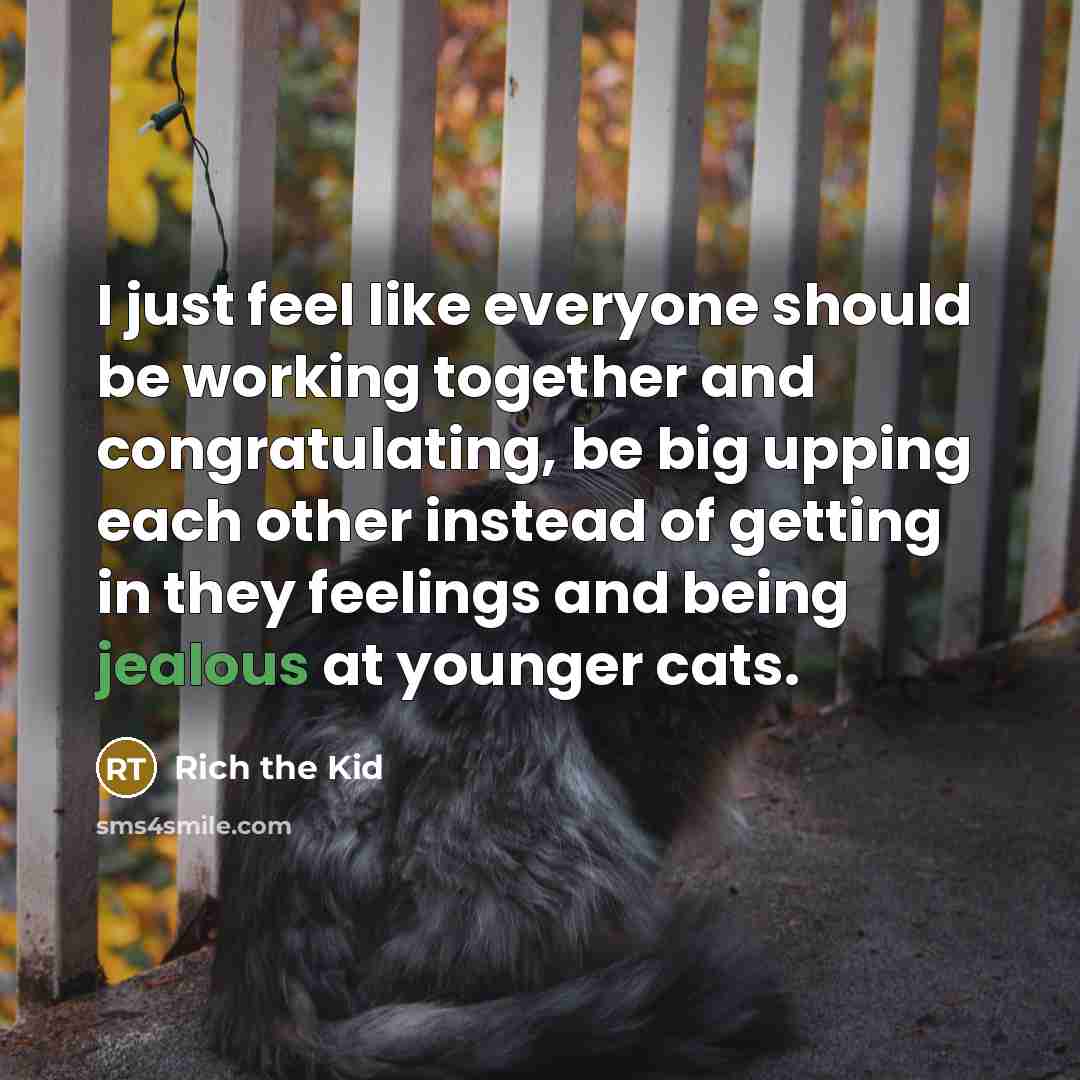 “I just feel like everyone should be working together and…” quote by Rich the Kid
