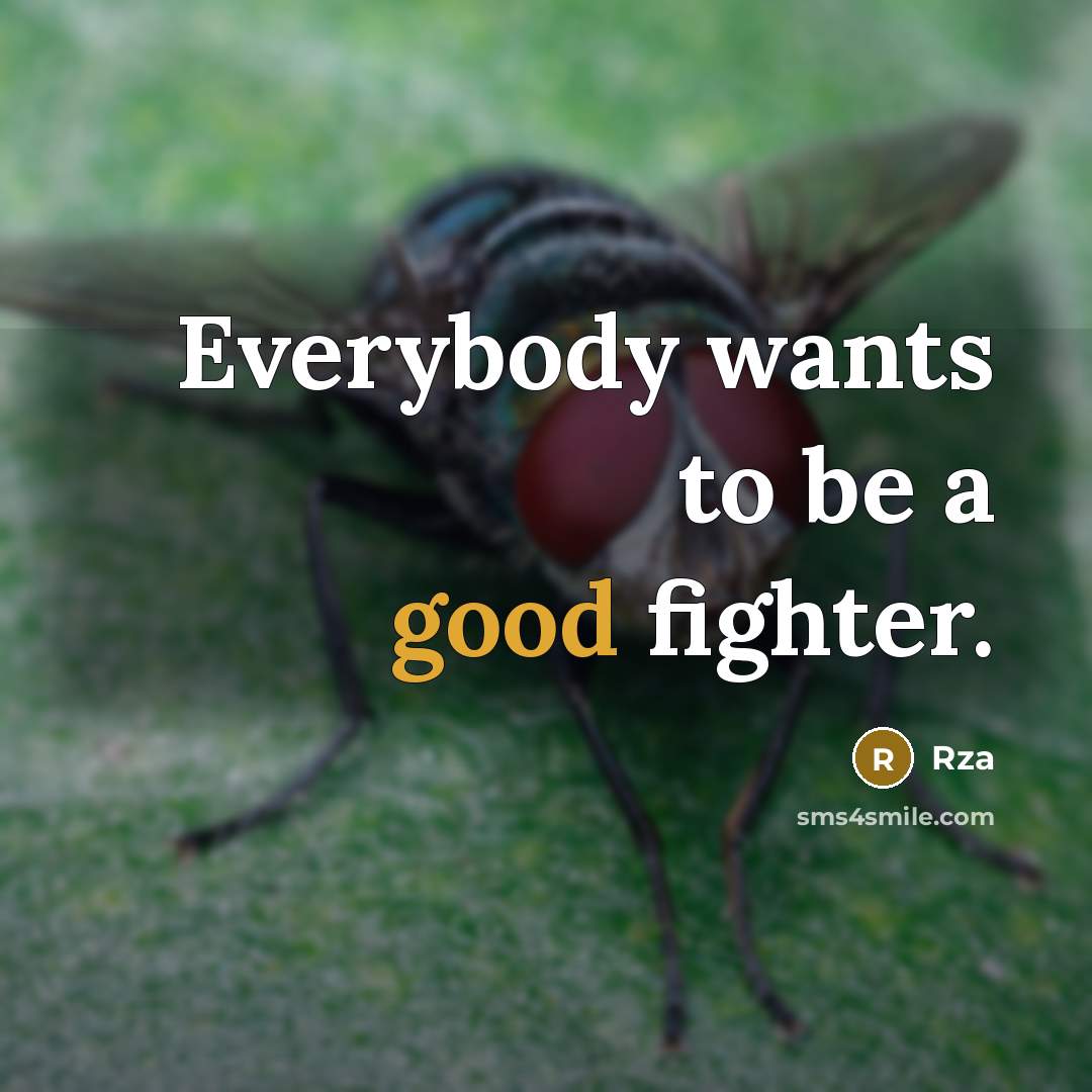 “Everybody wants to be a good fighter.…” quote by Rza
