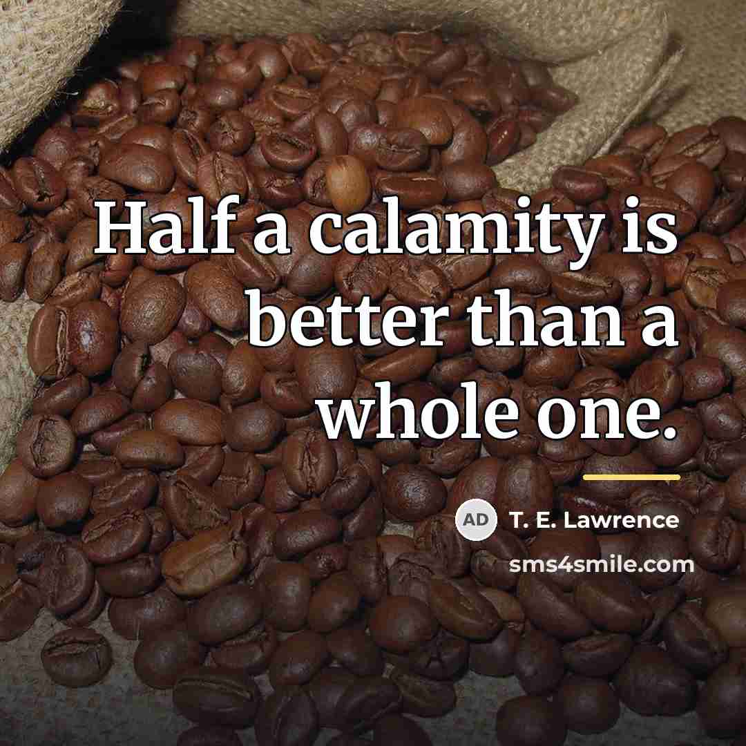 “Half a calamity is better than a whole one.…” quote by T. E. Lawrence