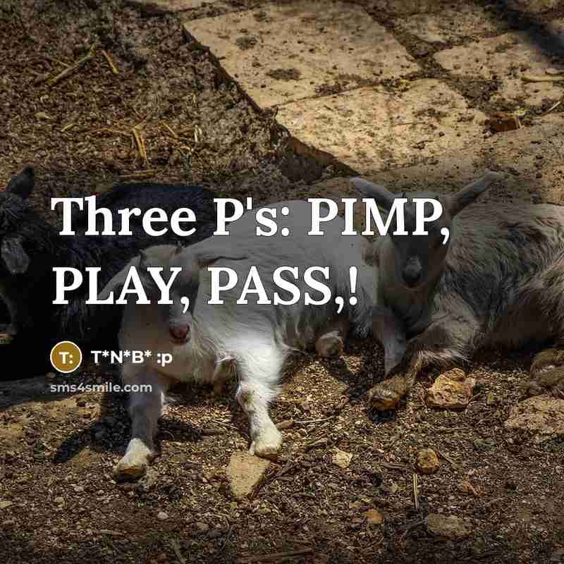 “Three P's: PIMP, PLAY, PASS,!” quote by T*N*B* :p