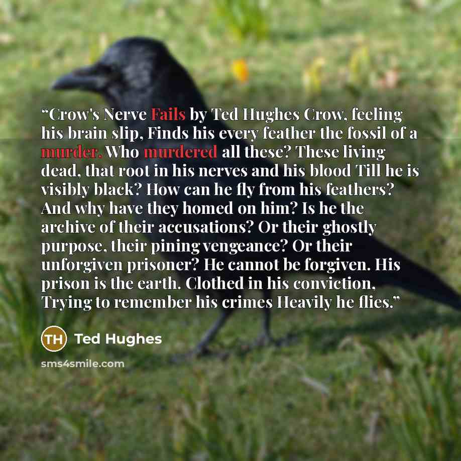 “Crow's Nerve Fails by Ted Hughes Crow, feeling his brain slip, Finds his every feather the fossil of a murder. Who murdered all these? These living dead, that root in his nerves and his blood Till he is visibly black? How can he fly from his feathers? And why have they homed on him? Is he the…” quote by Ted Hughes