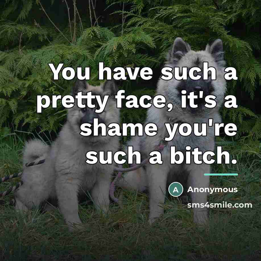 “You have such a pretty face, it's a shame you're…” quote by Anonymous