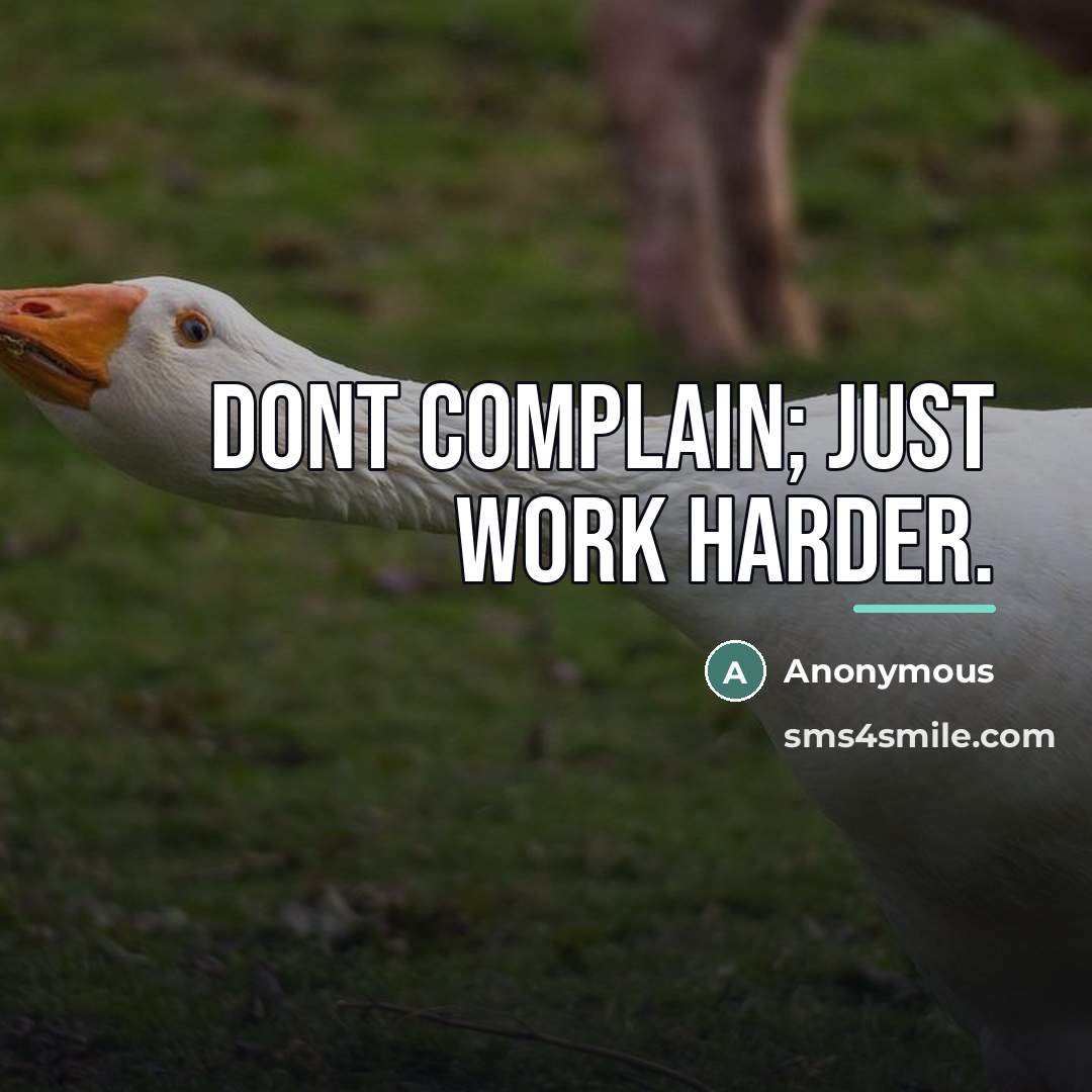 “Dont complain; just work harder.…” quote by Anonymous