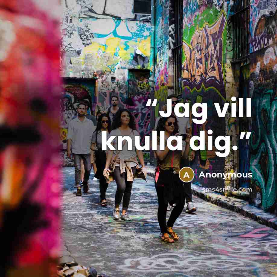 “Jag vill knulla dig.” quote by Anonymous
