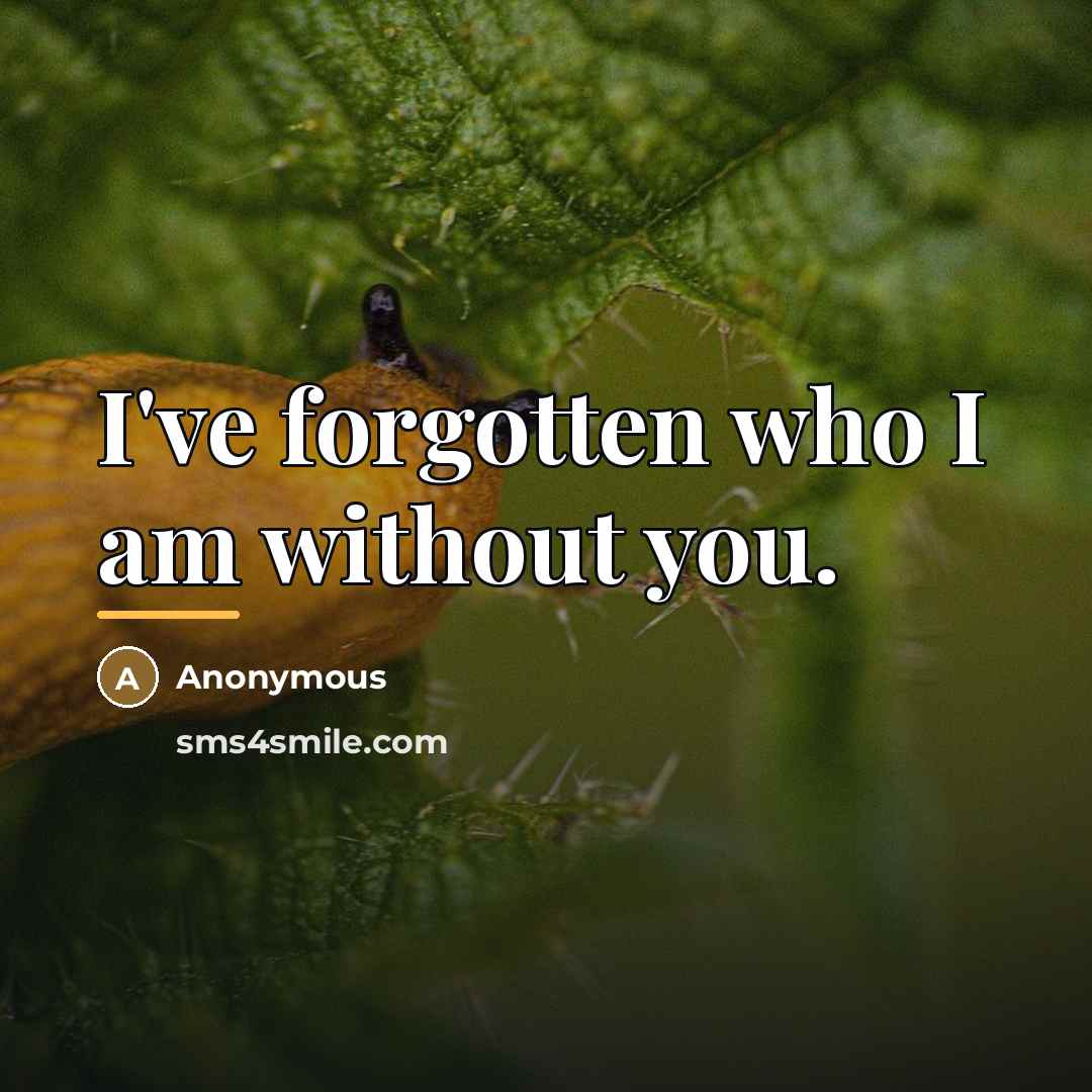 “I've forgotten who I am without you.…” quote by Anonymous