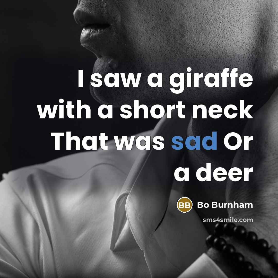 “I saw a giraffe with a short neck That was…” quote by Bo Burnham