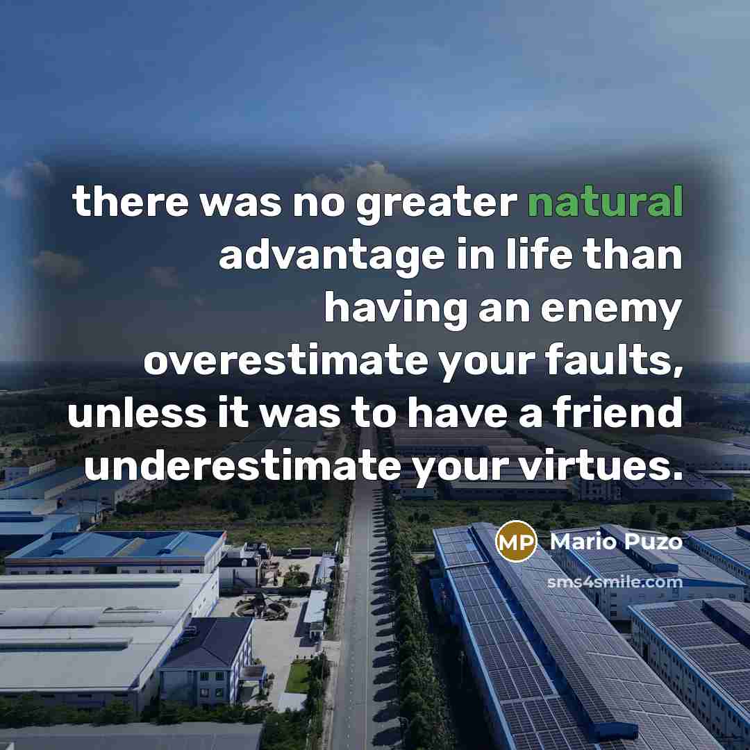 “there was no greater natural advantage in life than having…” quote by Mario Puzo