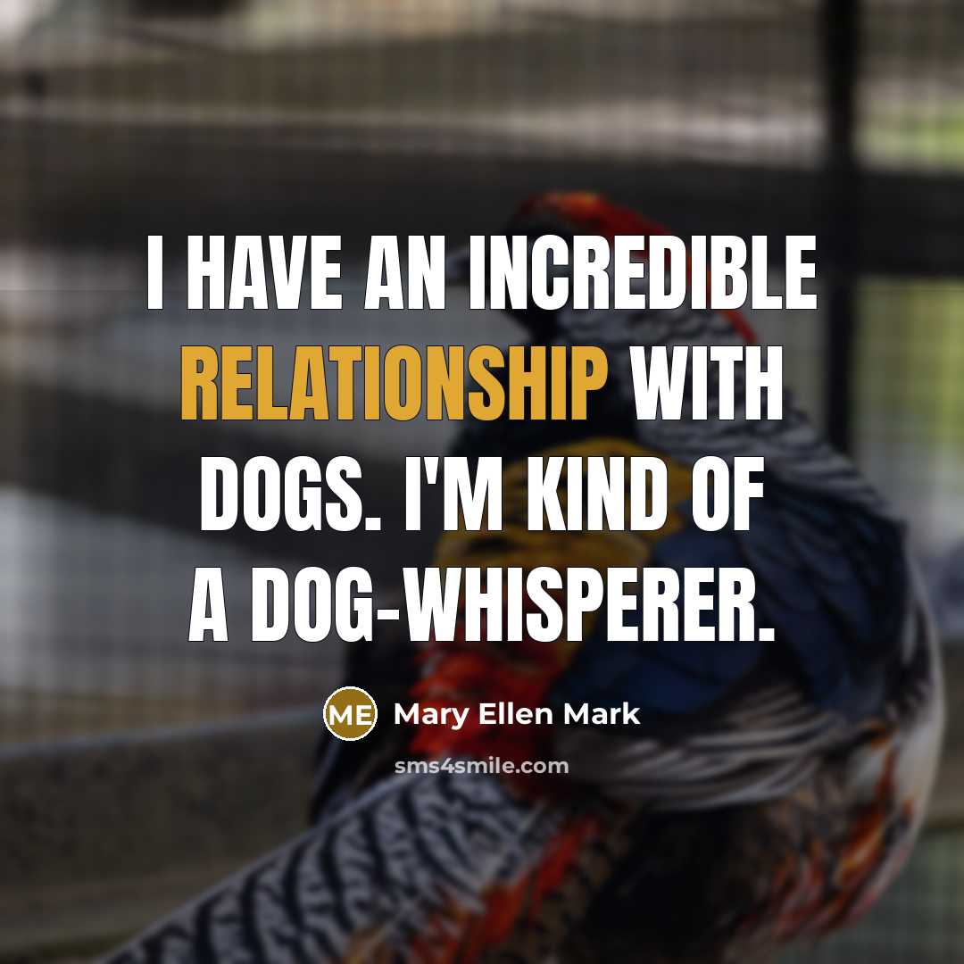 “I have an incredible relationship with dogs. I'm kind of a dog-whisperer.” quote by Mary Ellen Mark