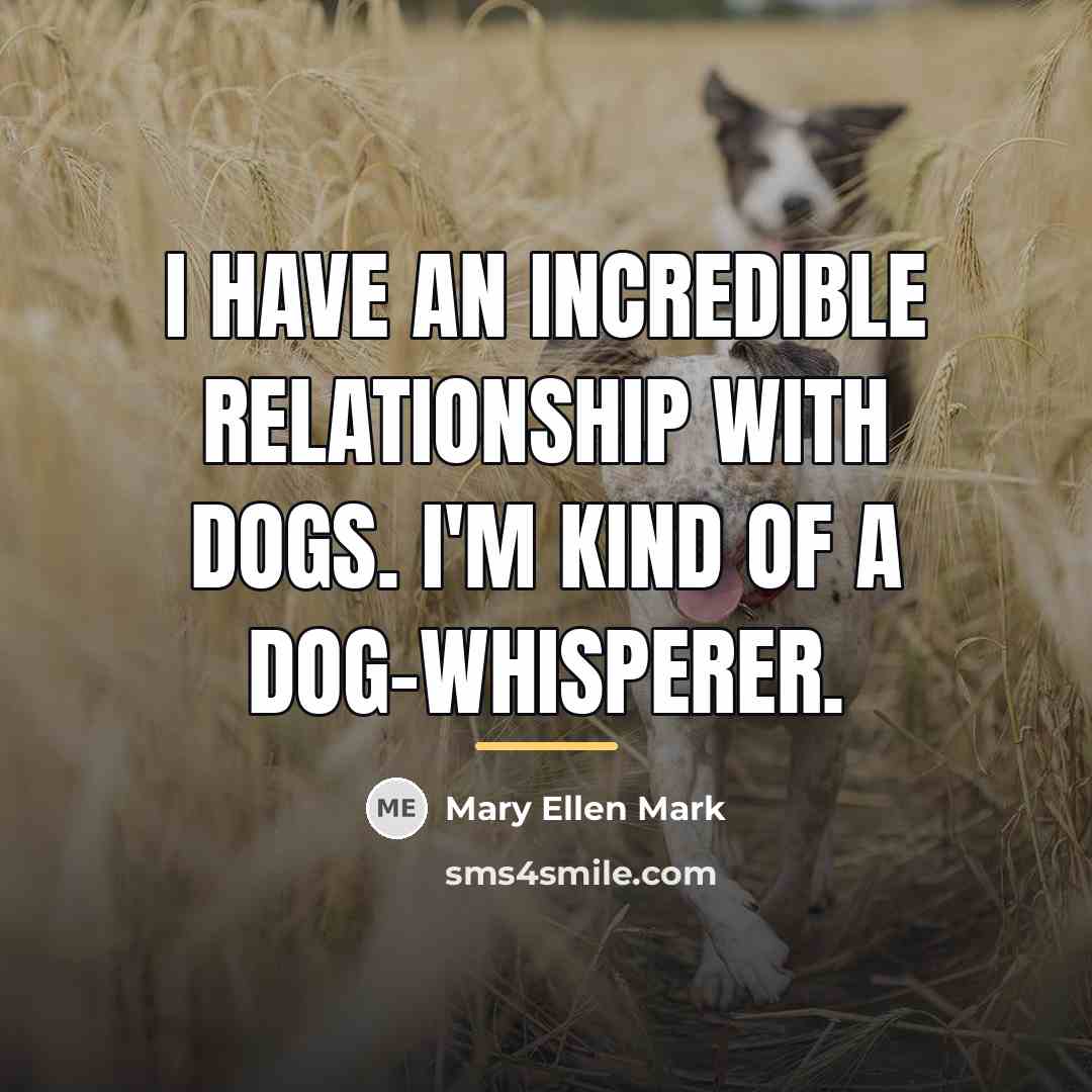 “I have an incredible relationship with dogs. I'm kind of…” quote by Mary Ellen Mark