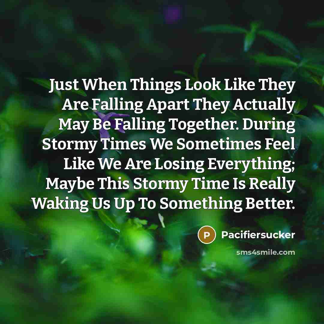 “Just When Things Look Like They Are Falling Apart They…” quote by Pacifiersucker